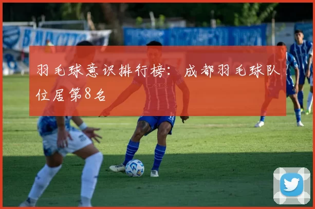 羽毛球意识排行榜：成都羽毛球队位居第8名