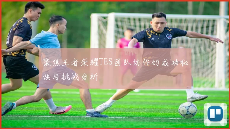 聚焦王者荣耀TES团队协作的成功秘诀与挑战分析