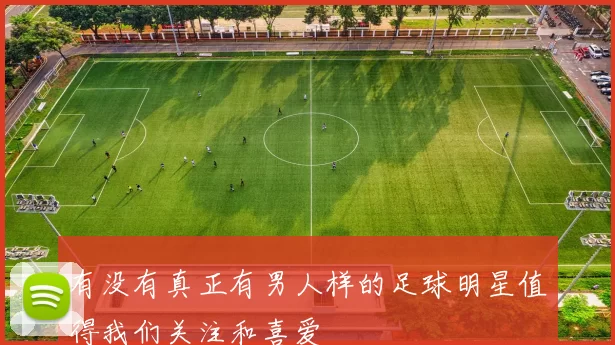 有没有真正有男人样的足球明星值得我们关注和喜爱