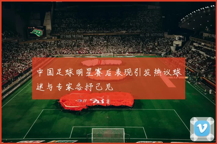 中国足球明星赛后表现引发热议球迷与专家各抒己见