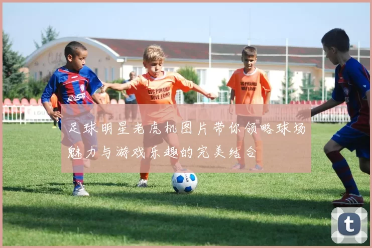 足球明星老虎机图片带你领略球场魅力与游戏乐趣的完美结合