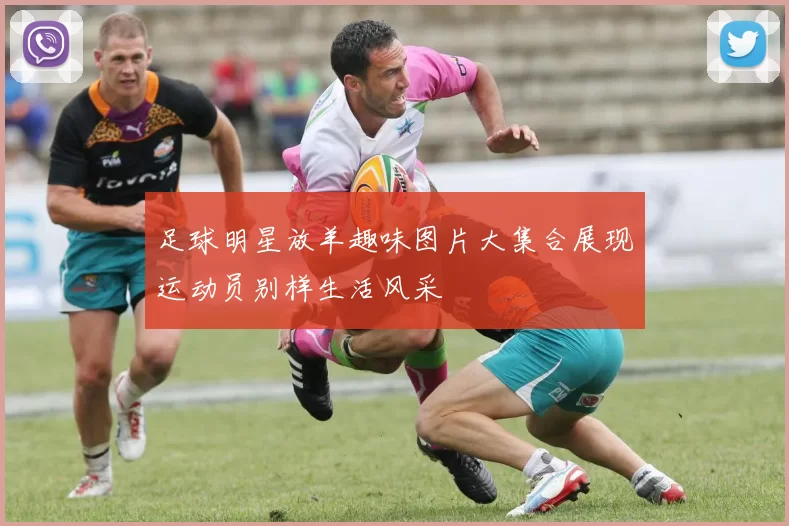 足球明星放羊趣味图片大集合展现运动员别样生活风采