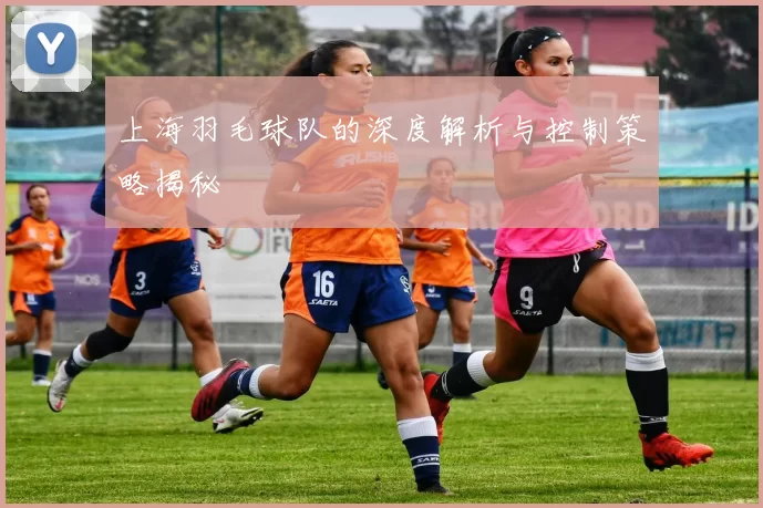 上海羽毛球队的深度解析与控制策略揭秘