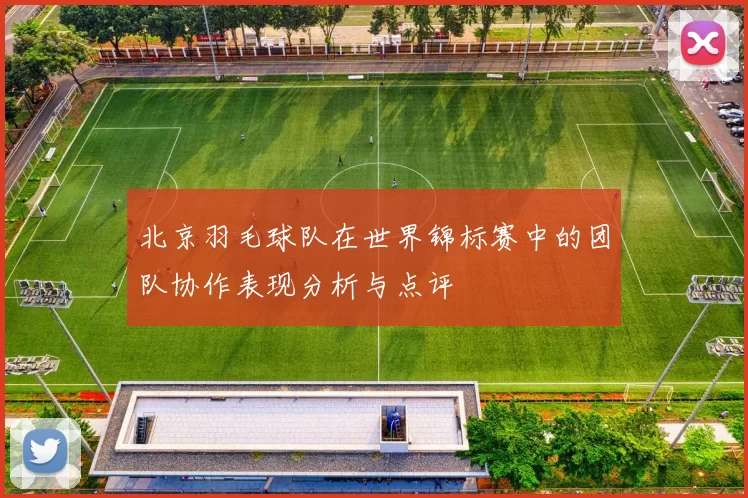 北京羽毛球队在世界锦标赛中的团队协作表现分析与点评