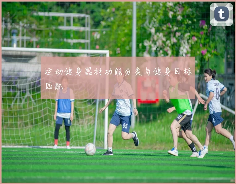 运动健身器材功能分类与健身目标匹配