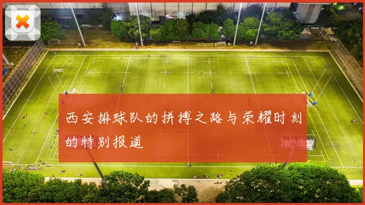 西安排球队的拼搏之路与荣耀时刻的特别报道