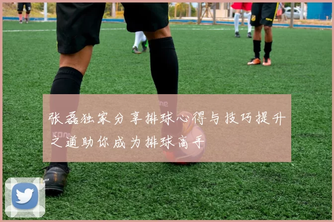 张磊独家分享排球心得与技巧提升之道助你成为排球高手