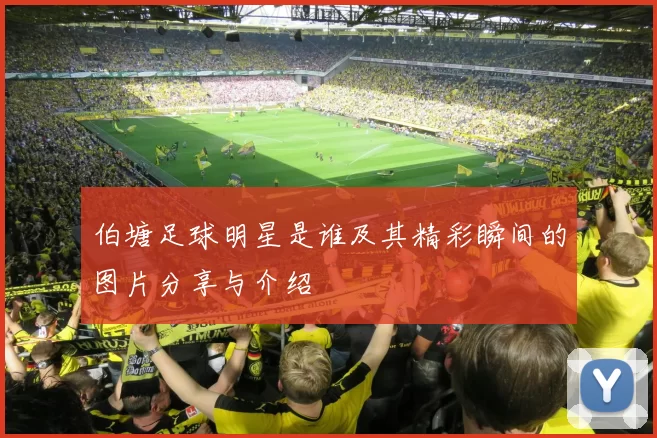 伯塘足球明星是谁及其精彩瞬间的图片分享与介绍