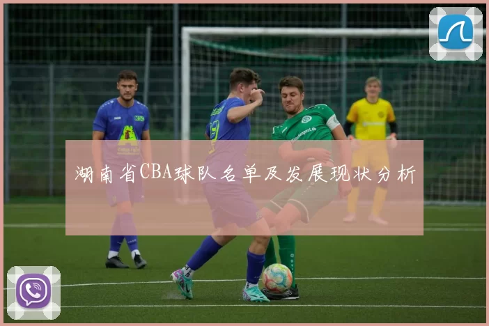 湖南省CBA球队名单及发展现状分析