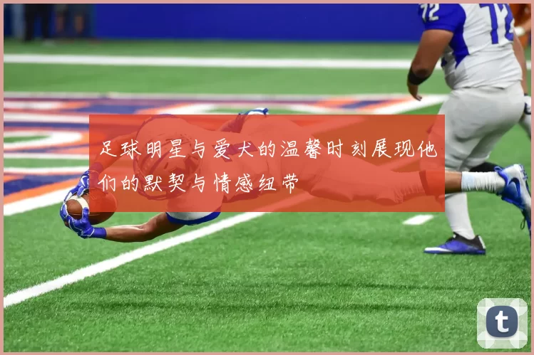 足球明星与爱犬的温馨时刻展现他们的默契与情感纽带