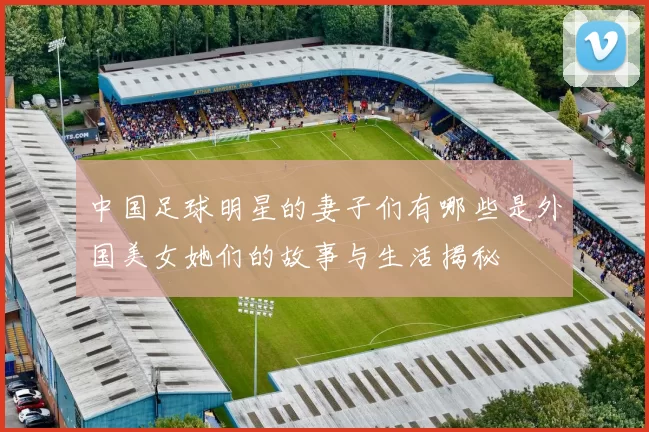 中国足球明星的妻子们有哪些是外国美女她们的故事与生活揭秘