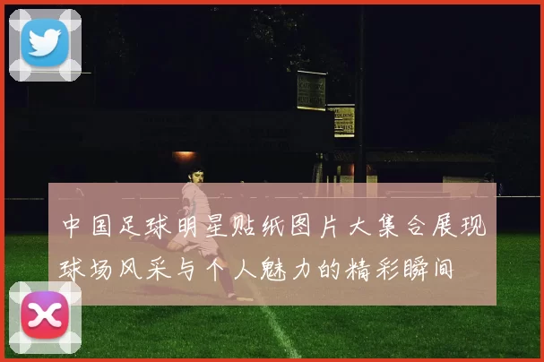 中国足球明星贴纸图片大集合展现球场风采与个人魅力的精彩瞬间