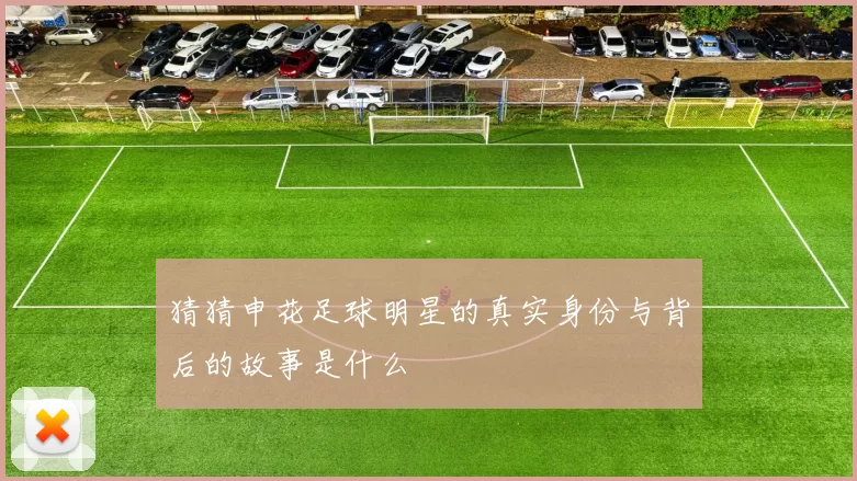猜猜申花足球明星的真实身份与背后的故事是什么