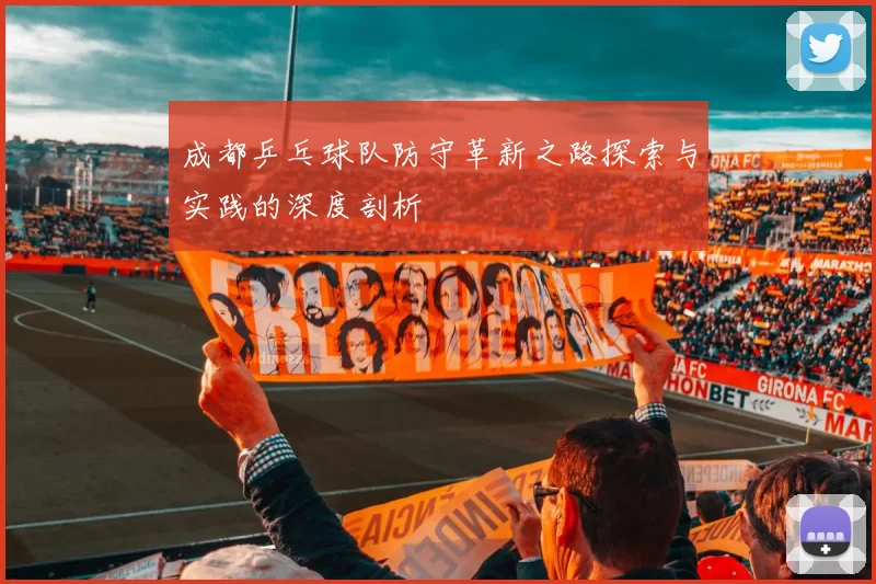 成都乒乓球队防守革新之路探索与实践的深度剖析