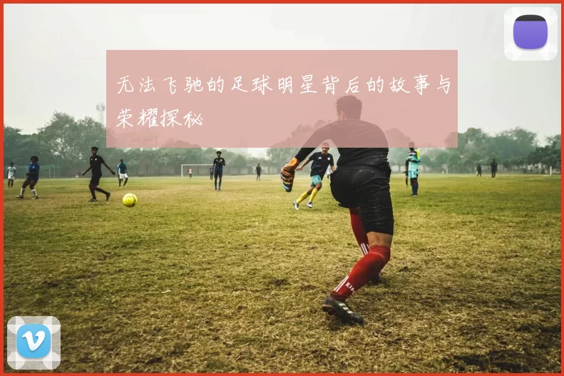 无法飞驰的足球明星背后的故事与荣耀探秘