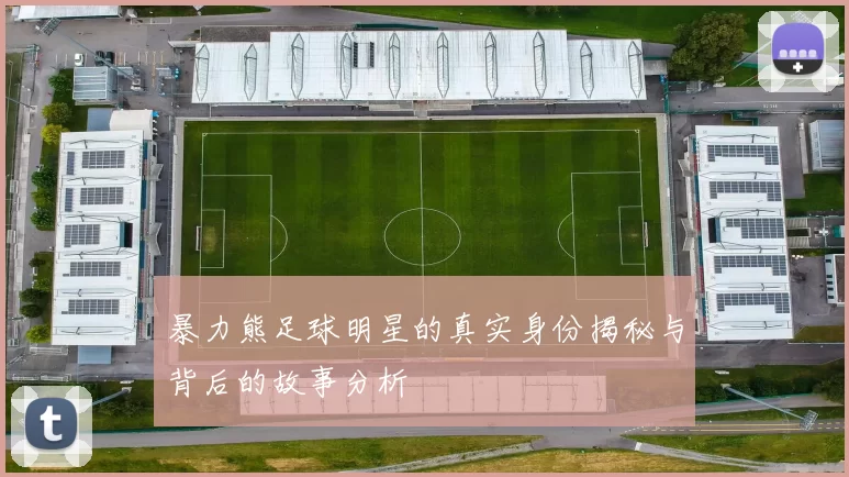 暴力熊足球明星的真实身份揭秘与背后的故事分析