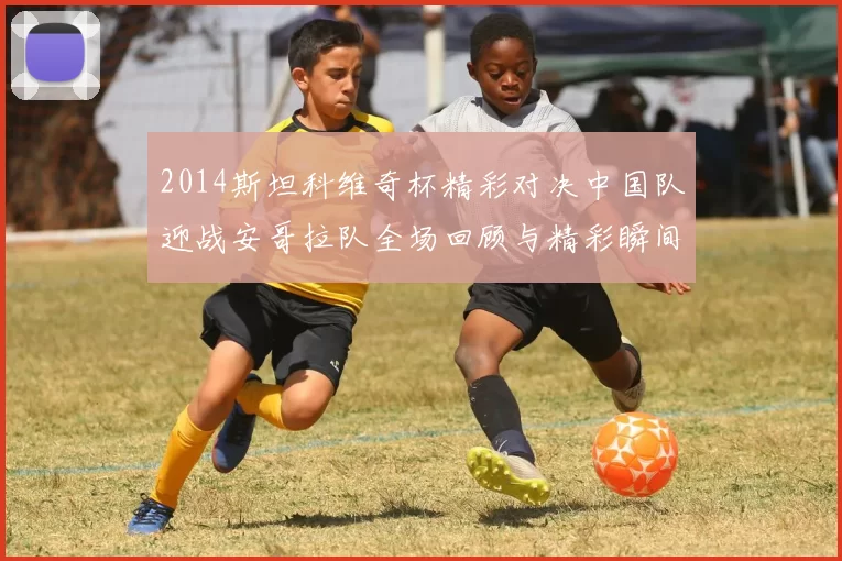 2014斯坦科维奇杯精彩对决中国队迎战安哥拉队全场回顾与精彩瞬间分析