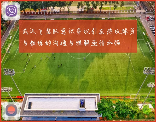 武汉飞盘队意识争议引发热议球员与教练的沟通与理解亟待加强