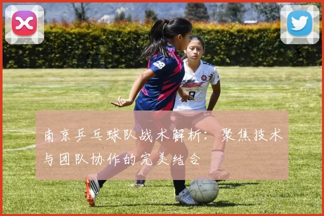 南京乒乓球队战术解析：聚焦技术与团队协作的完美结合