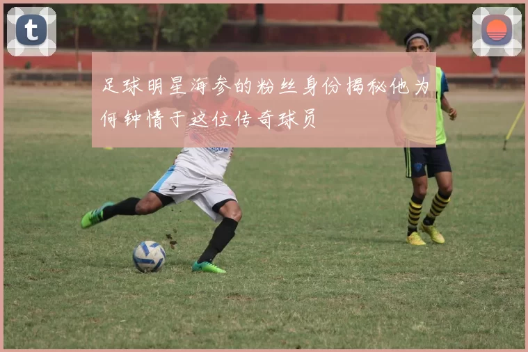 足球明星海参的粉丝身份揭秘他为何钟情于这位传奇球员