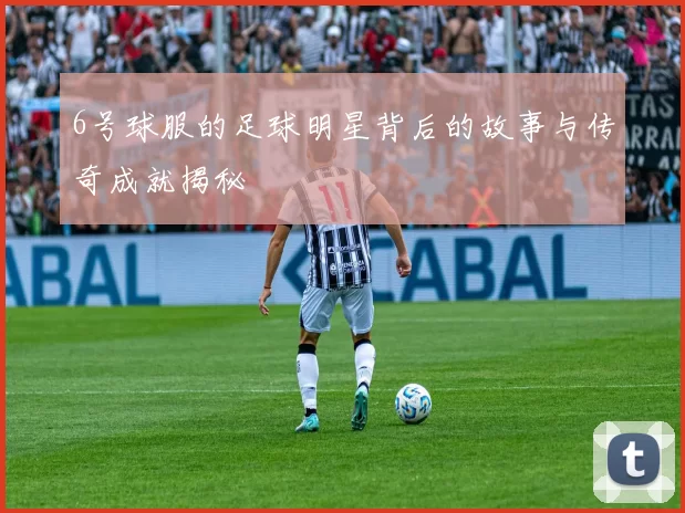 6号球服的足球明星背后的故事与传奇成就揭秘