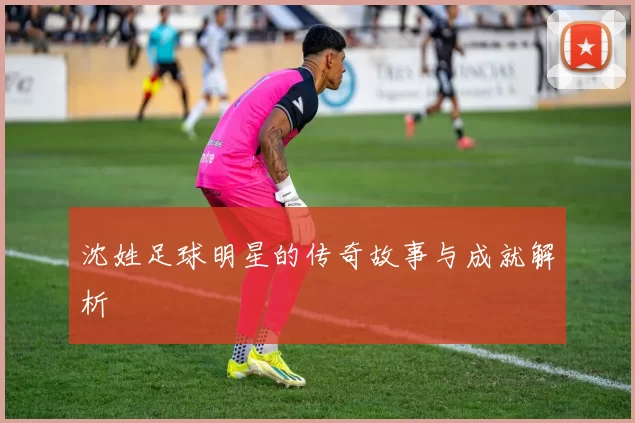 沈姓足球明星的传奇故事与成就解析