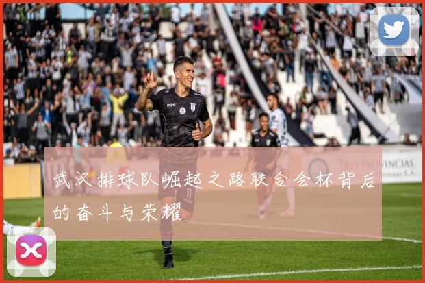 武汉排球队崛起之路联合会杯背后的奋斗与荣耀