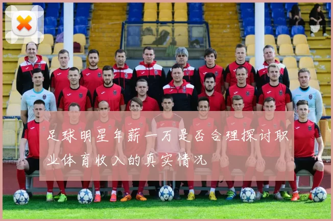 足球明星年薪一万是否合理探讨职业体育收入的真实情况