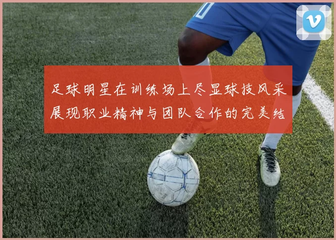 足球明星在训练场上尽显球技风采展现职业精神与团队合作的完美结合
