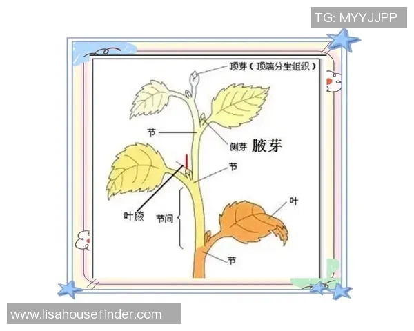 科学网球比赛经验与训练方法的全面解析与实用技巧分享
