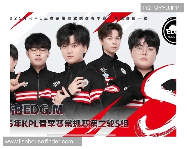 聚焦王者荣耀：探讨JDG战队背后的实力与团队精神