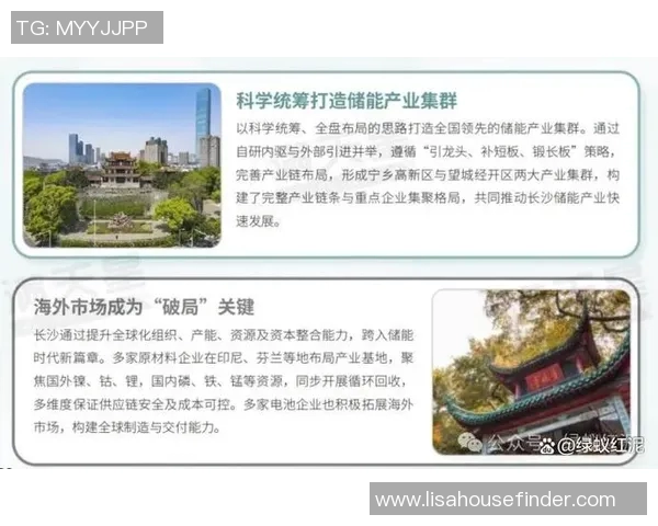 以推动高质量发展为目标的创新驱动战略与可持续发展路径探索