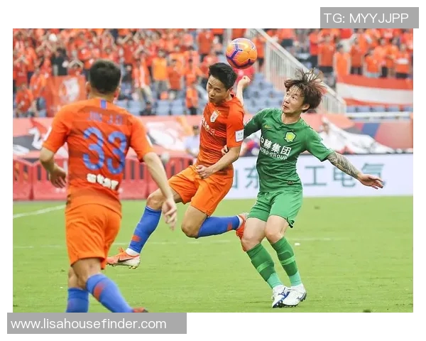 重庆篮球队实力引发热议球迷观点分歧与未来展望