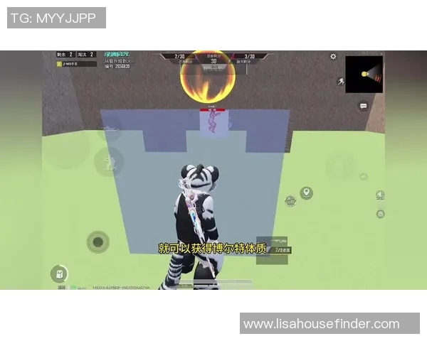 和平精英纪实：见证WE战队从崛起到辉煌的成长历程与奋斗故事